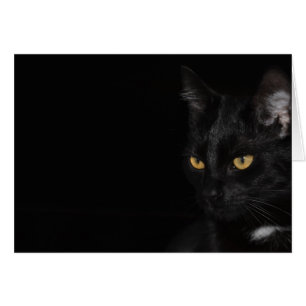 Card - Cat - Purr