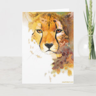 Card - Cheetah!