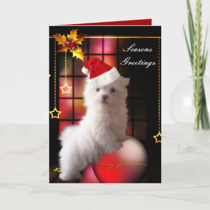 Card Christmas White Maltese Puppy Dog