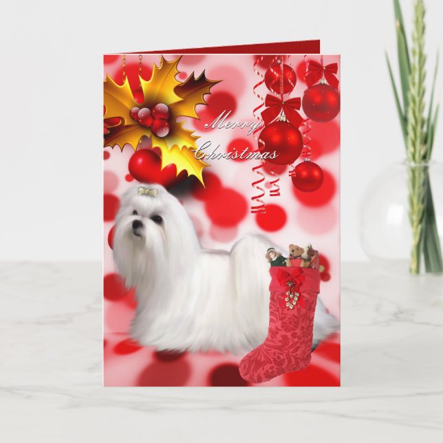 Card Christmas Xmas Maltese Dog Puppy Hearts (Front)
