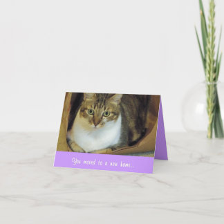 Card (CN) - Perfect Fit
