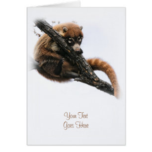 Card: Coatimundi #5 (Portrait)