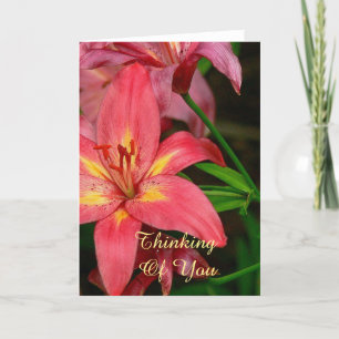 CARD, CORAL RED AND YELLOW DAYLILY/THINKING OF YOU CARD