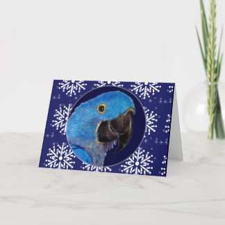 Card - Decorative Holiday Hyacinth Macaw