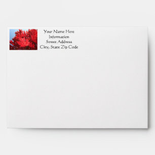 Card envelops Red Leaves Autumn Greeting Cards Envelopes
