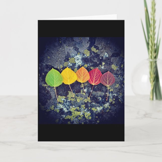 card for everyone and every season  (Front)