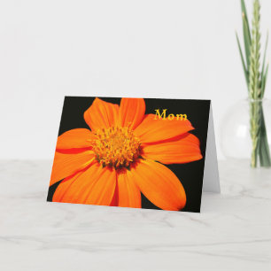 Card for Mother's Day with Pretty Orange Flower