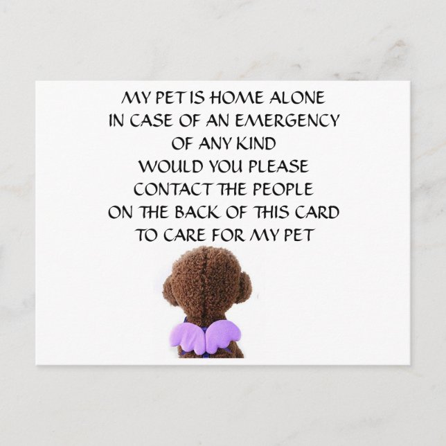 CARD FOR "YOUR PET" IN CASE YOU HAVE AN EMERGENCY (Front)