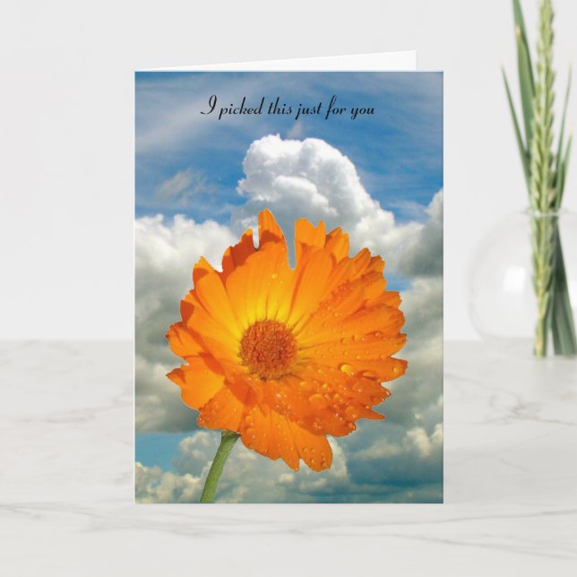 Card - greeting - Calendula  on Stem (Front)