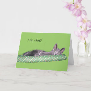 Card - Greeting - Grey kitten