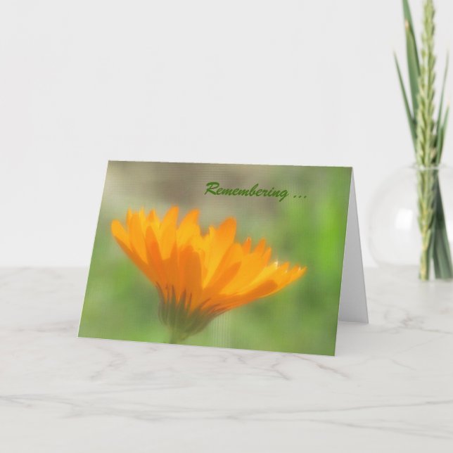 Card - greeting - Orange Calendula (Front)