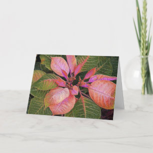 Card Holiday Poinsettia in Rosie Pink