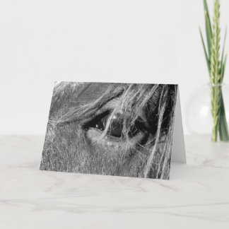 Card - Horse