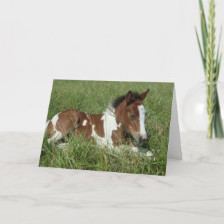 Card - Horse Portrait
