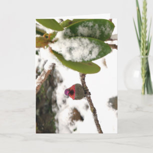 Card. Hummingbird in Snow Card