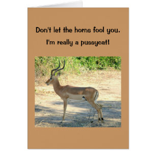 card, Humourous, "Don't Let the Horns Fool You"