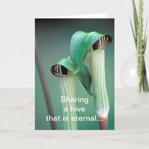 Card /  Jack-in-the-pulpit