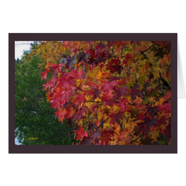 Card Landscape 16 (Front Horizontal)