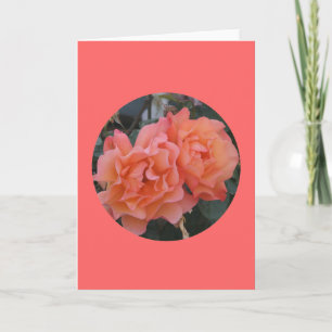 Card, "Orange Pink Roses in Circle" M-1 Card
