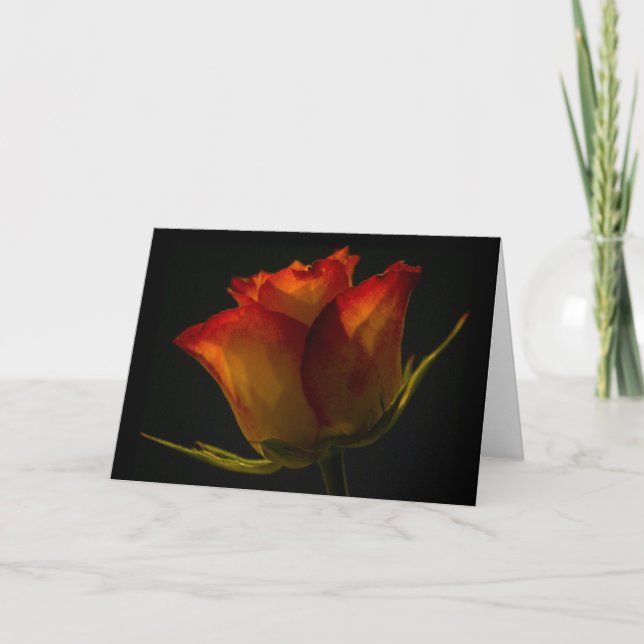 Card - Orange & Yellow Rose (Front)