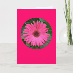Card, "Pink Gerber Daisy in a Circle" B-1 Card