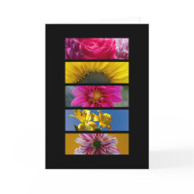 Card - Pink & Yellow Macro Flowers