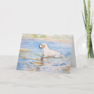 card - Reflection - Clumber Spaniel