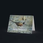 Card / Ring-necked Pheasant / Merry Christmas!<br><div class="desc">Title Ring-necked pheasant   Alternative Title Phasianus colchicus   Contact mailto:nctcimages@fws.gov;   Creator Menke,  Dave;   Description Male walking across sand with sparse dried vegetation.   Subject Birds Game birds   Location Iowa   FWS Site DESOTO NATIONAL WILDLIFE REFUGE   Publisher U.S. Fish and Wildlife Service   Rights Public Domain</div>