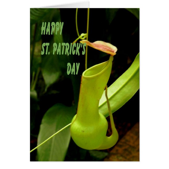 Card St. Patrick's Day with Pipe Plant Green (Front)