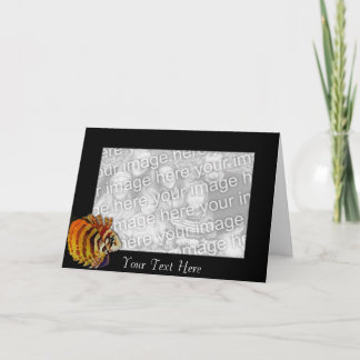 Card Template - Lionfish Border