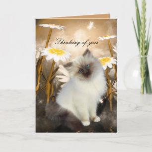 Card White Cat Kitten Flowers "Thinking of you"