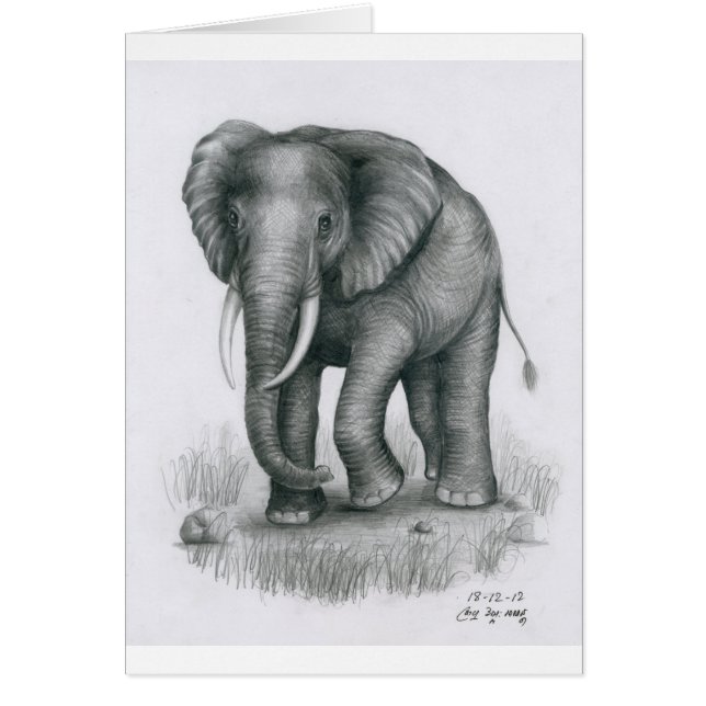 Card with Elephant by Vannak Anan Prum (Front)