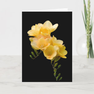 Card, Yellow Freesia # 1 Card