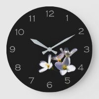 Cardamine Pratensis Flowers Grey Numbers wccnm