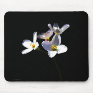Cardamine Pratensis Flowers mpcnm Mouse Pad