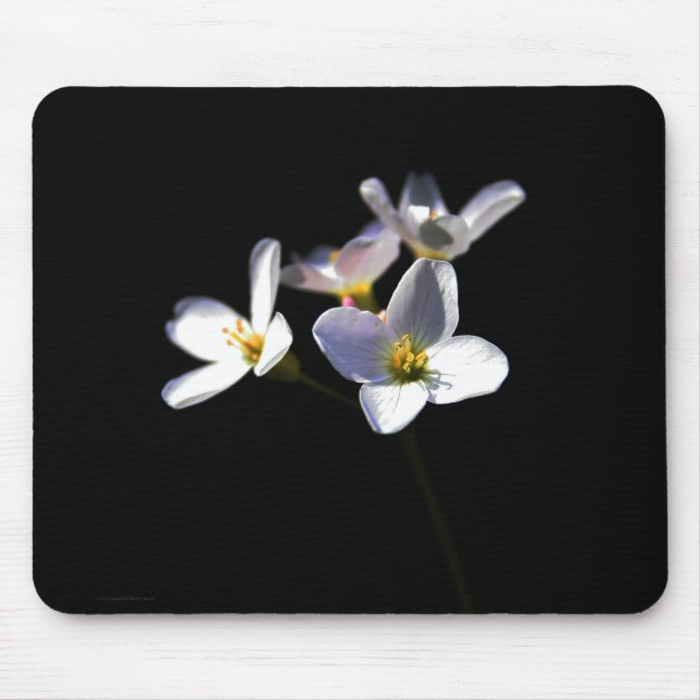 Cardamine Pratensis Flowers mpcnm Mouse Pad (Front)