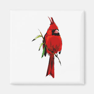Cardan Cardinal Magnet