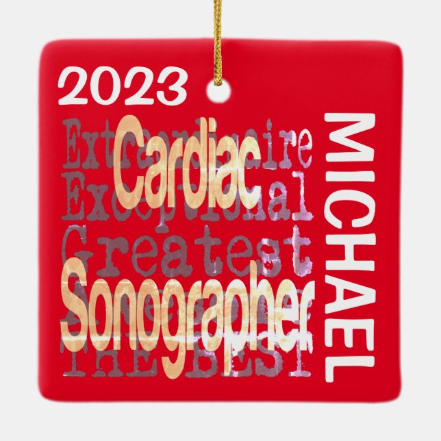 Cardiac Sonographer Extraordinaire CUSTOM Ceramic Ornament (Back)