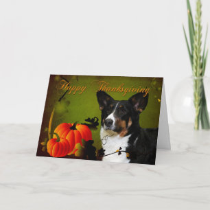 Cardigan Corgi Thanksgiving Card
