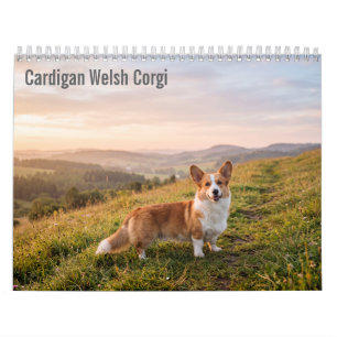 Cardigan Welsh Corgi 2027 Wall calendar