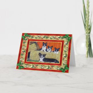 Cardigan Welsh Corgi Dog Blank Christmas Card
