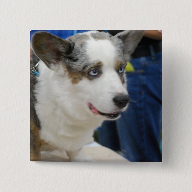 Cardigan Welsh Corgi Dog  Button (Front)