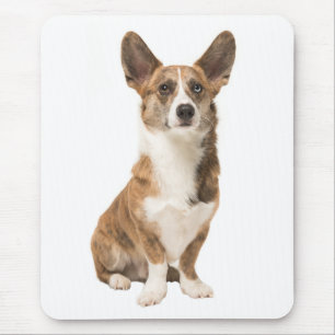 Cardigan Welsh Corgi Puppy Dog Mouse Pad