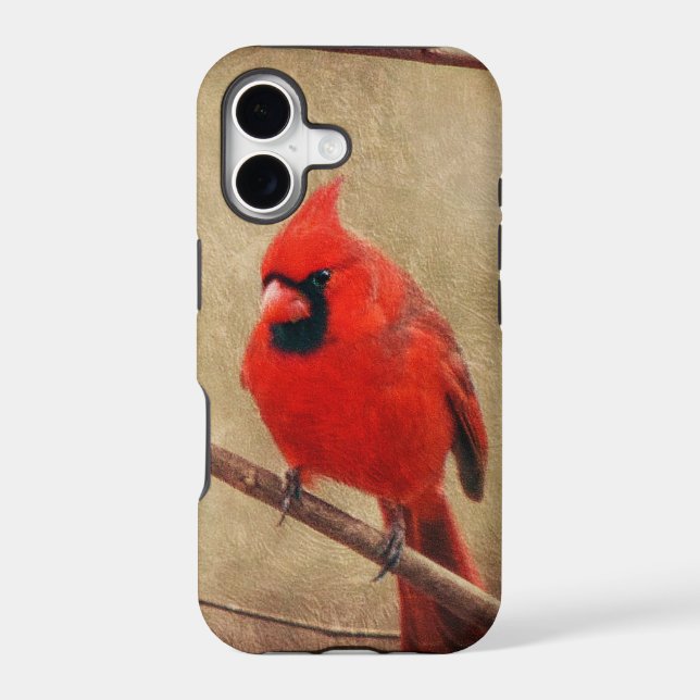 Cardinal (Back)