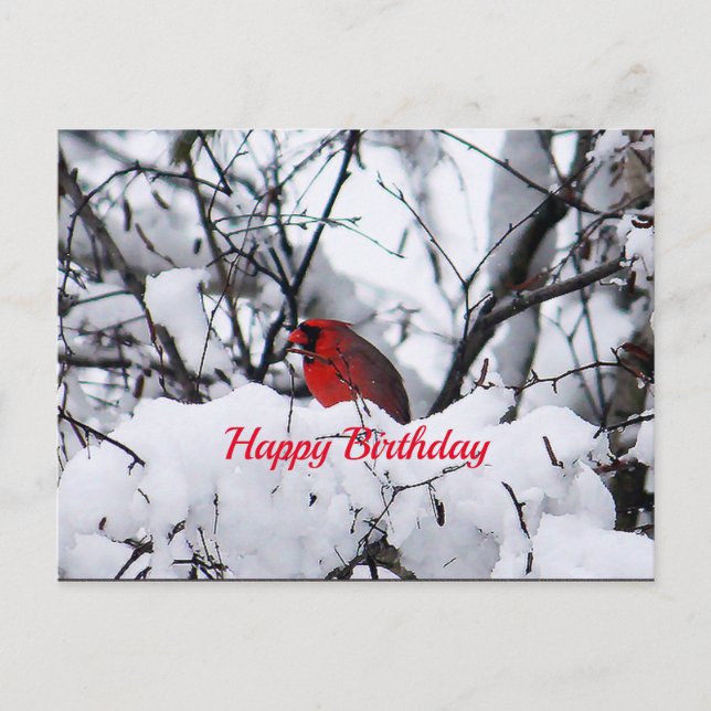 Cardinal 6216 Birthday Postcard (Front)