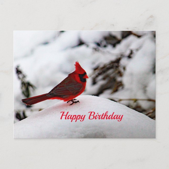 Cardinal 6239 Birthday Postcard (Front)