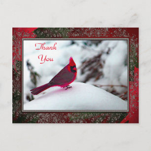 Cardinal 6241 Frame TY Postcard