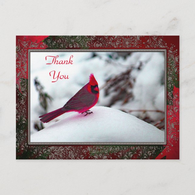 Cardinal 6241 Frame TY Postcard (Front)