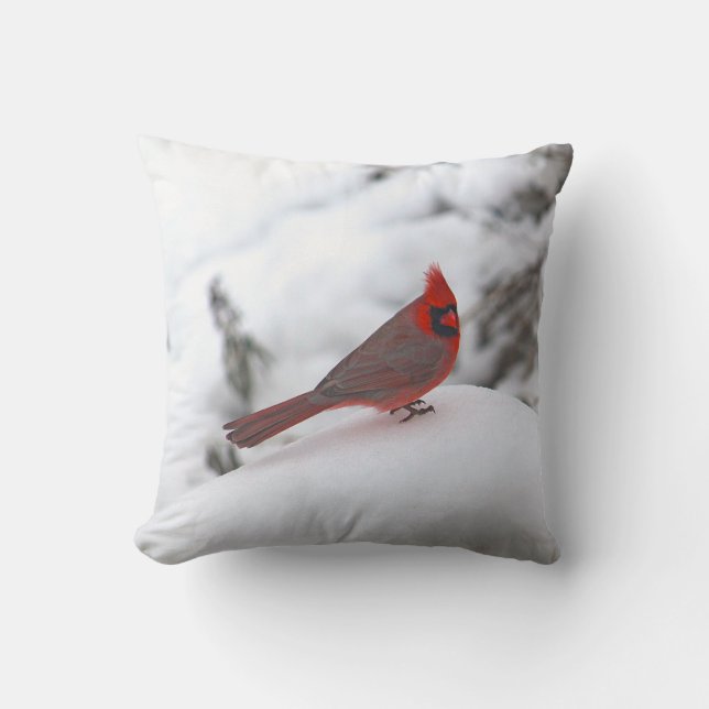 Cardinal 6241 Pillow (Front)