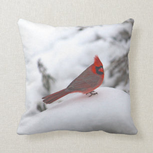 Cardinal 6241 Pillow